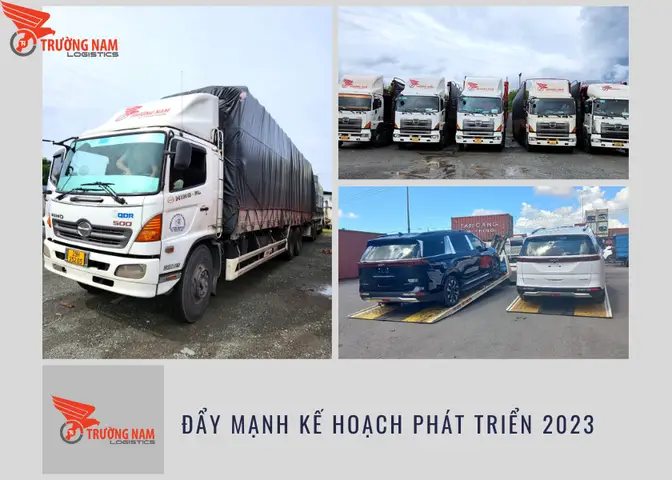 dịch vụ ship cá cảnh dịch vụ ship cá cảnh