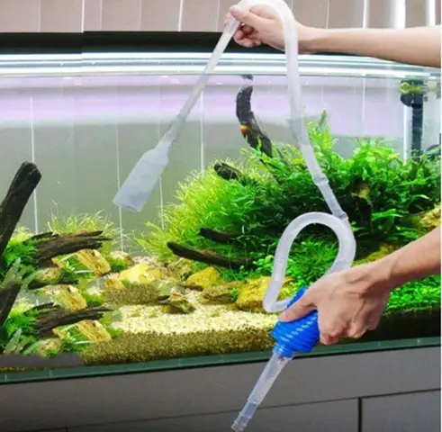 dịch vụ vệ sinh bể cá dịch vụ vệ sinh bể cá