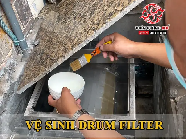 dịch vụ vệ sinh hồ cá tại tphcm dịch vụ vệ sinh hồ cá tại tphcm