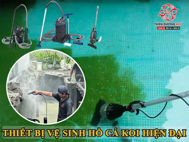 dịch vụ vệ sinh hồ cá tại tphcm dịch vụ vệ sinh hồ cá tại tphcm