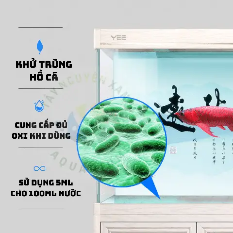 diệt khuẩn hồ cá diệt khuẩn hồ cá