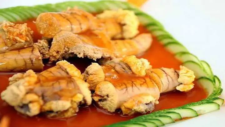 dinh dưỡng trong trứng cá dinh dưỡng trong trứng cá