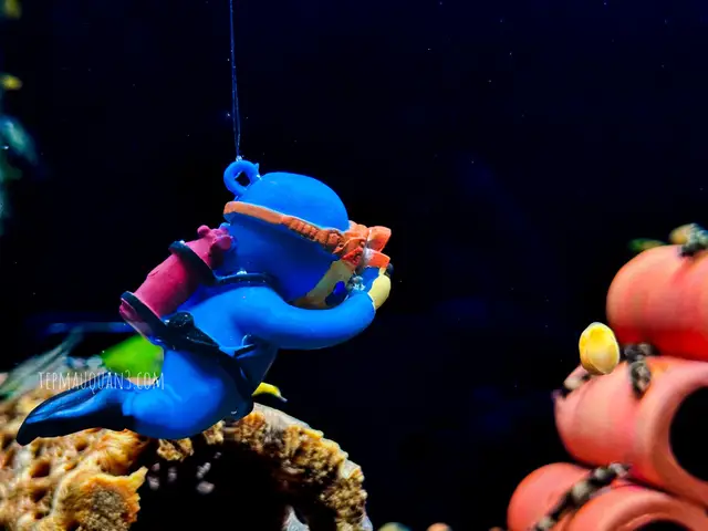 đồ chơi cho cá đồ chơi cho cá