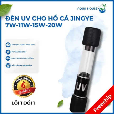 dụng cụ bể cá dụng cụ bể cá