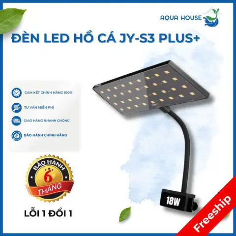 dụng cụ bể cá dụng cụ bể cá