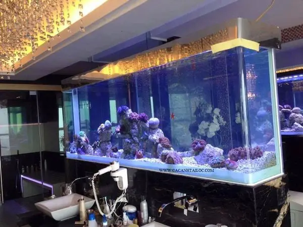 dụng cụ cá cảnh dụng cụ cá cảnh