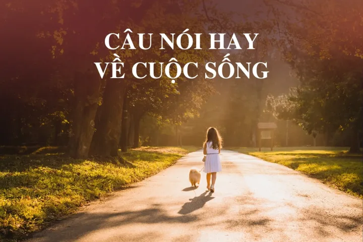 Đừng Hỏi Tổ Quốc Đã Làm Gì Cho Ta, Hãy Cống Hiến Vì Đất Nước Của Chúng Ta Nguyên nhân câu nói được nhắc đến nhiều trong xã hội hiện đại