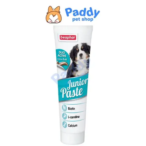 Gel Dinh Dưỡng Cho Chó Poodle: Lợi Ích & Hướng Dẫn Sử Dụng Toàn Diện gel dinh dưỡng cho chó poodle