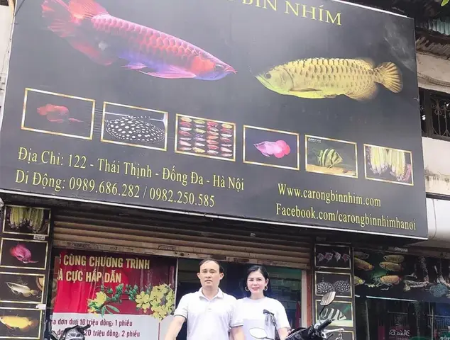 giá cá rồng tại hà nội