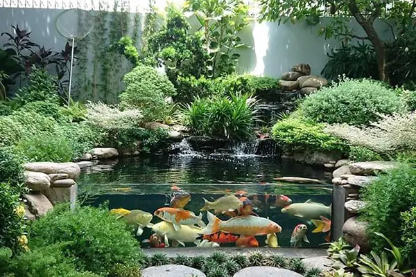 giá máy lọc nước hồ cá koi giá máy lọc nước hồ cá koi