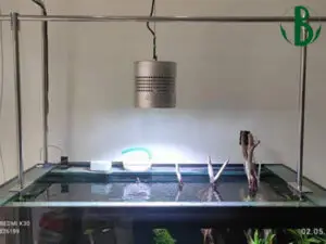 giá treo đèn hồ cá giá treo đèn hồ cá
