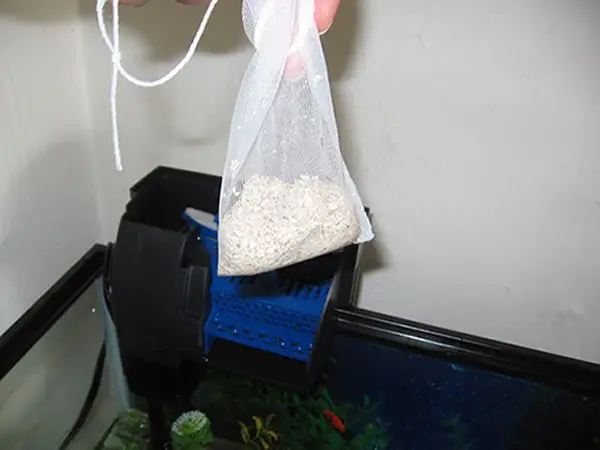 giảm ph hồ cá rồng giảm ph hồ cá rồng
