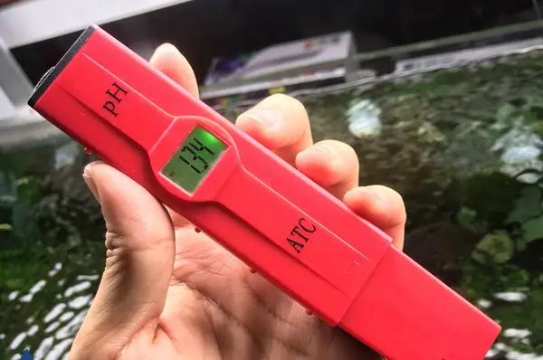 giảm ph hồ cá rồng giảm ph hồ cá rồng