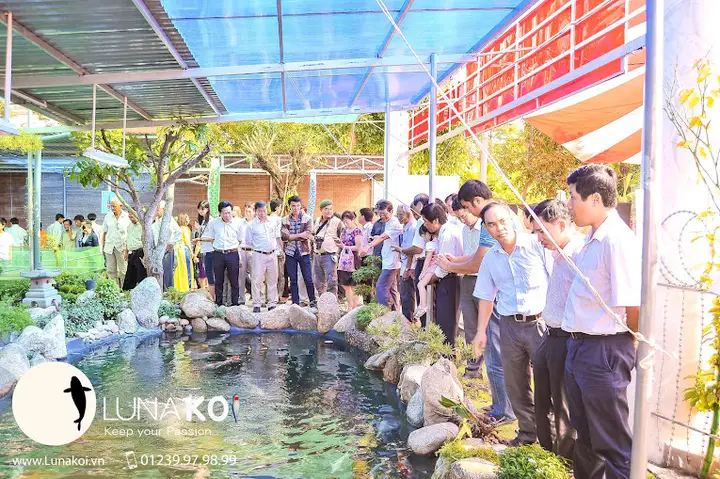 giới thiệu về cá chép giới thiệu về cá chép
