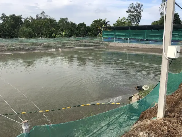 giới thiệu về cá chép giới thiệu về cá chép