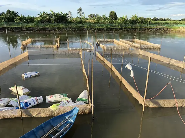 giới thiệu về cá chép giới thiệu về cá chép
