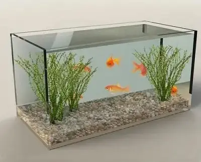 giữ ấm cho bể cá ngoài trời giữ ấm cho bể cá ngoài trời