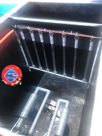 hệ thống lọc hồ cá koi hệ thống lọc hồ cá koi
