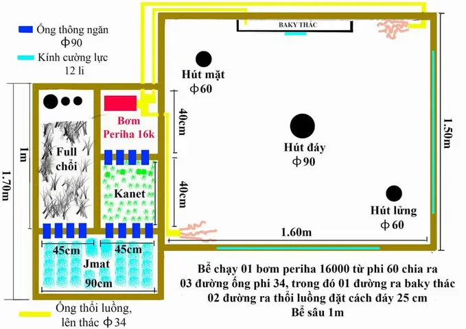 hệ thống lọc hồ cá koi hệ thống lọc hồ cá koi