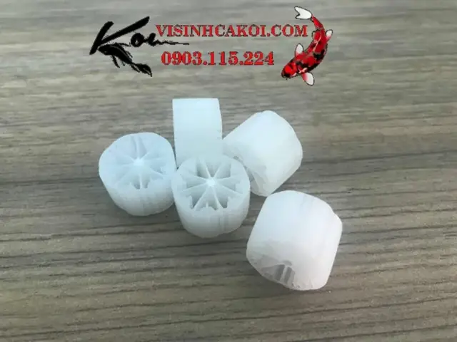 hệ thống lọc hồ cá koi hệ thống lọc hồ cá koi