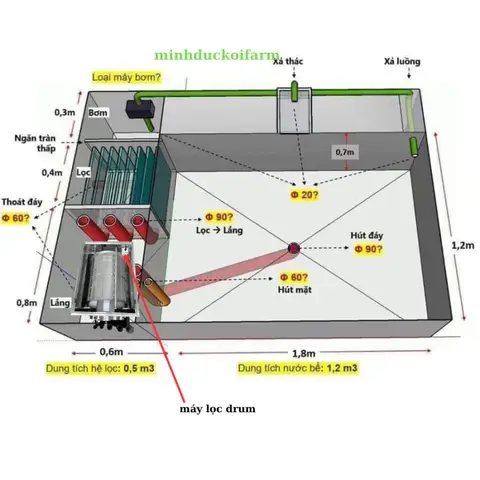 hệ thống lọc hồ cá koi hệ thống lọc hồ cá koi