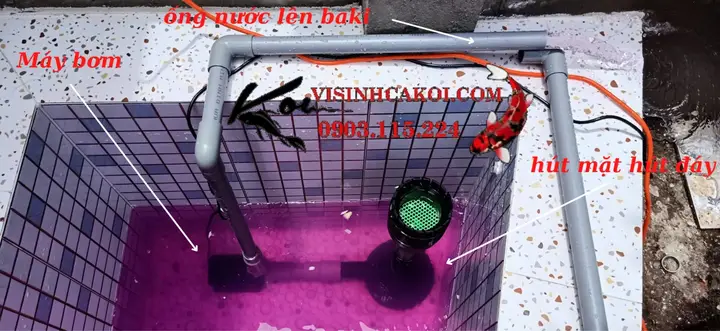 hệ thống lọc hồ cá koi hệ thống lọc hồ cá koi