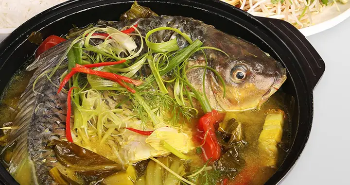 hình ảnh cá chép đẹp