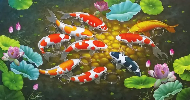 hình ảnh cá chép đẹp