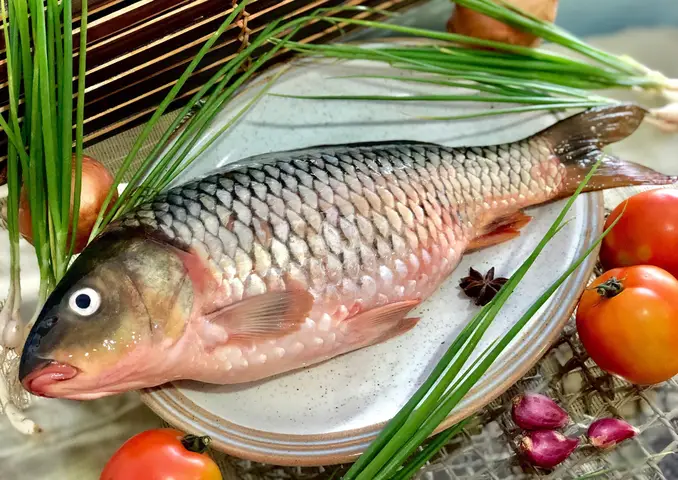 hình ảnh cá chép đẹp