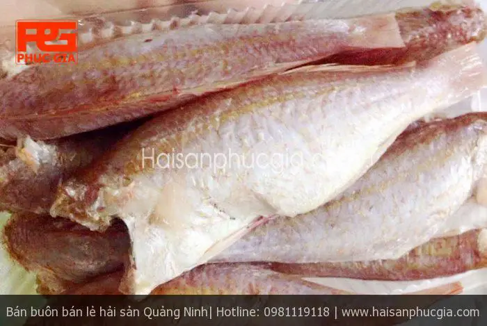 hình ảnh cá phèn hồng hình ảnh cá phèn hồng