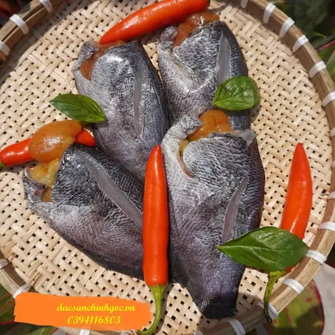 hình ảnh cá sặc hình ảnh cá sặc