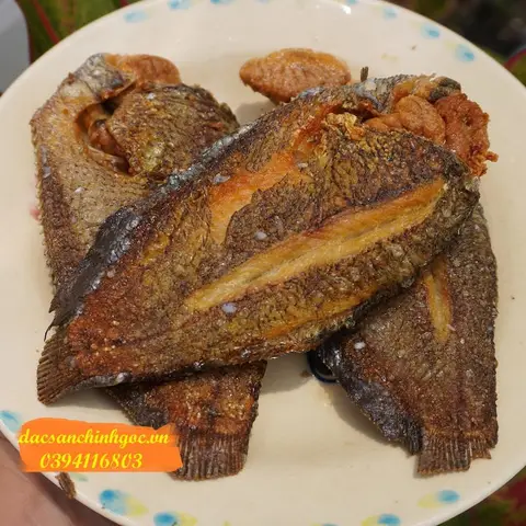hình ảnh cá sặc hình ảnh cá sặc