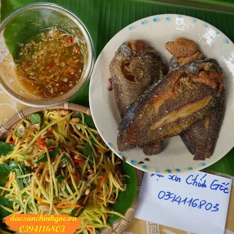 hình ảnh cá sặc hình ảnh cá sặc