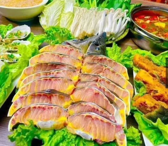hình ảnh cá tầm hình ảnh cá tầm