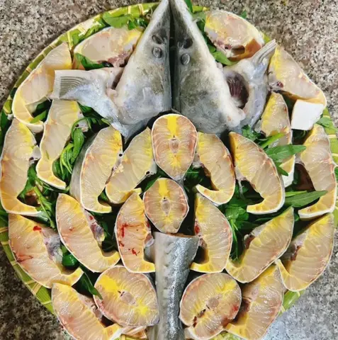 hình ảnh cá tầm hình ảnh cá tầm