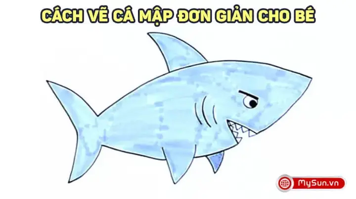hình cá mập vẽ hình cá mập vẽ