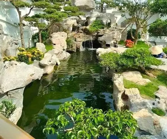 hồ cá bị rêu xanh hồ cá bị rêu xanh