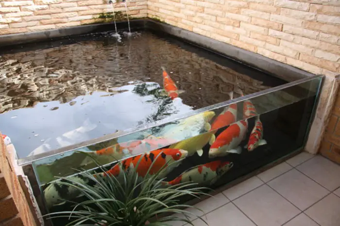 hồ cá koi mini hồ cá koi mini