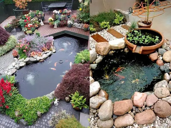 hồ cá sân vườn hồ cá sân vườn