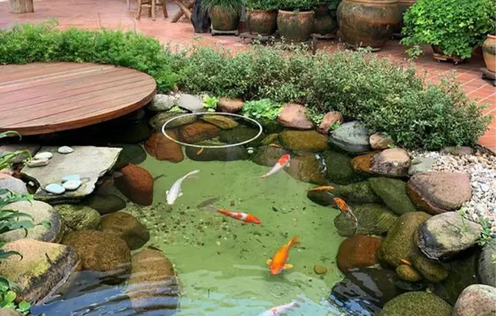 hồ cá sân vườn hồ cá sân vườn