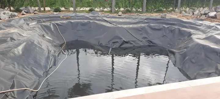 hướng dẫn làm hồ nuôi cá hướng dẫn làm hồ nuôi cá