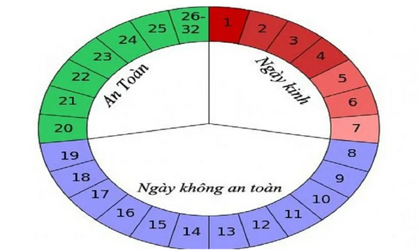 Ichu Kỳ Kinh Nguyệt Của Chó Phốc Sóc: Biểu Hiện, Chăm Sóc Và Dinh Dưỡng Cần Thiết Ichu Kỳ Kinh Nguyệt Của Chó Phốc Sóc: Biểu Hiện, Chăm Sóc Và Dinh Dưỡng Cần Thiết