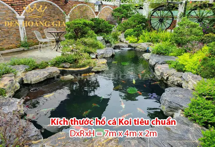 kích thước cá koi kích thước cá koi