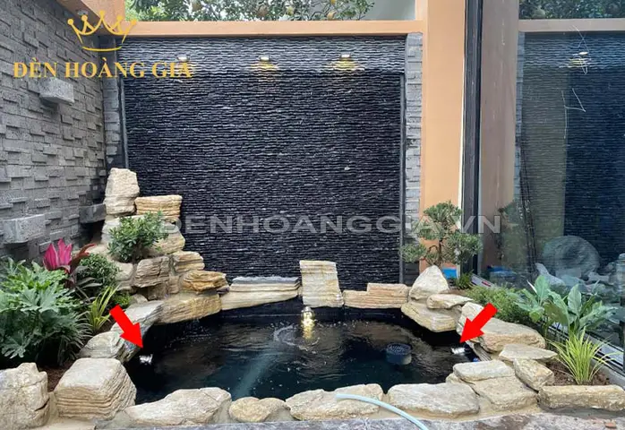kích thước cá koi kích thước cá koi