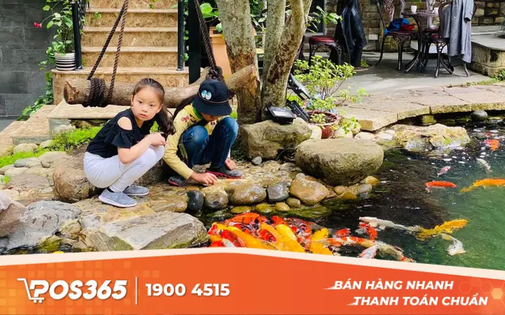 kinh nghiệm mở quán cafe cá koi kinh nghiệm mở quán cafe cá koi