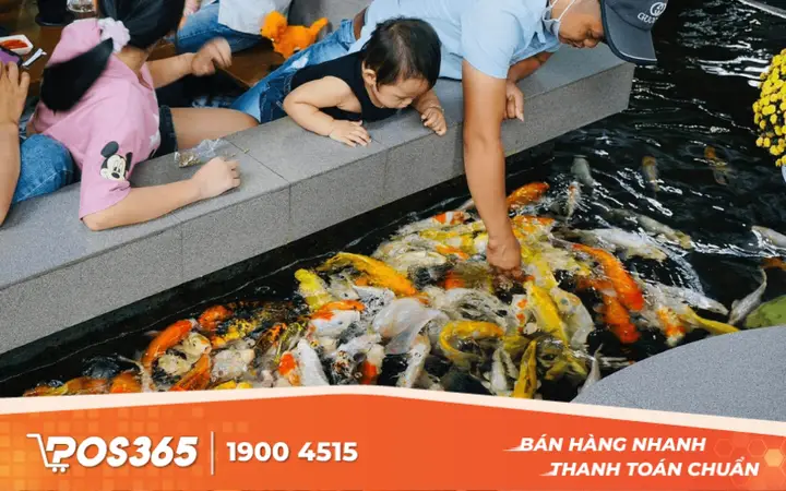 kinh nghiệm mở quán cafe cá koi kinh nghiệm mở quán cafe cá koi