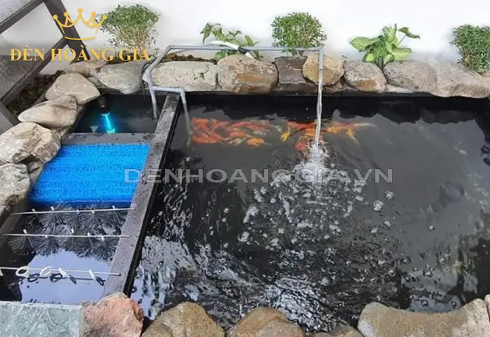 làm hồ cá mini làm hồ cá mini