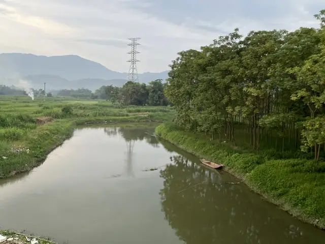 liễn nuôi cá cảnh liễn nuôi cá cảnh