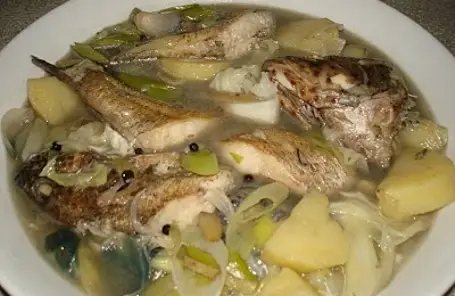 loài chim ăn cá cỡ lớn loài chim ăn cá cỡ lớn