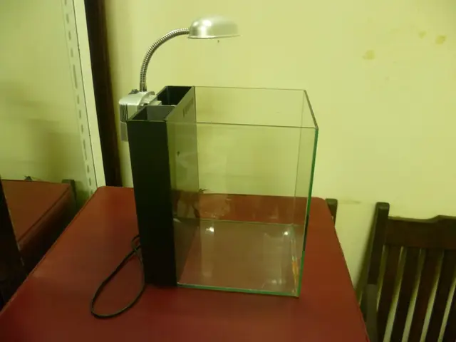 lọc bể cá đơn giản lọc bể cá đơn giản